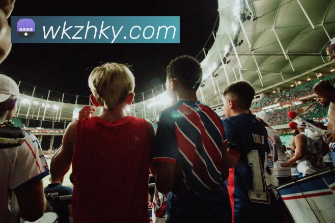 开云app平台生态图