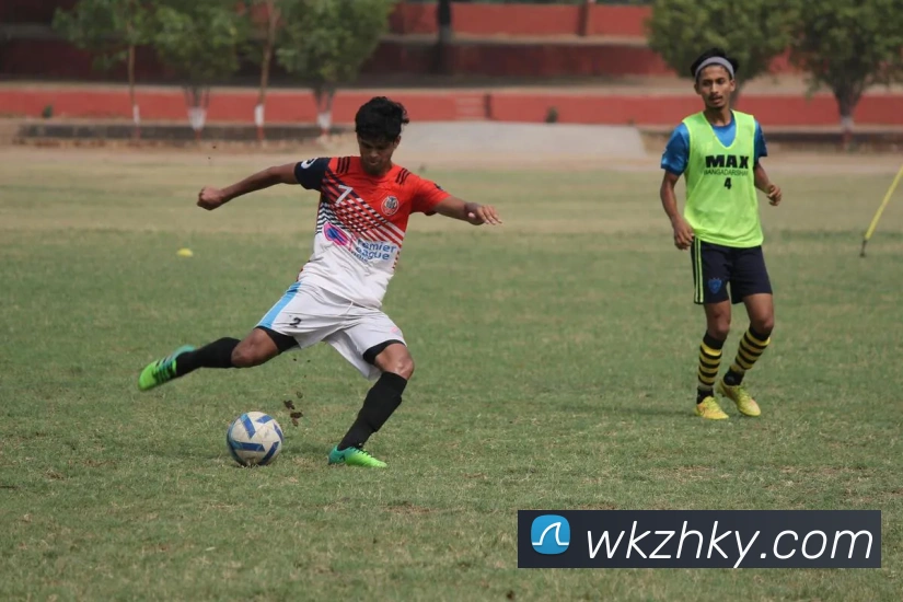 开云appAPP 封面图